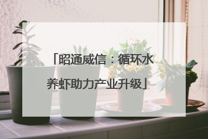 昭通威信：循环水养虾助力产业升级
