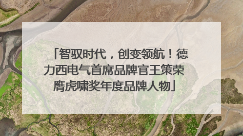智驭时代，创变领航！德力西电气首席品牌官王策荣膺虎啸奖年度品牌人物