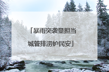 暴雨突袭显担当 城管排涝护民安