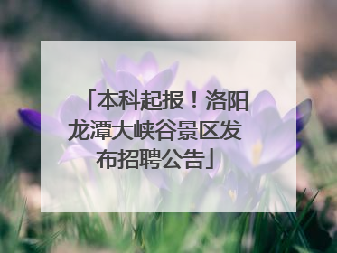 本科起报！洛阳龙潭大峡谷景区发布招聘公告