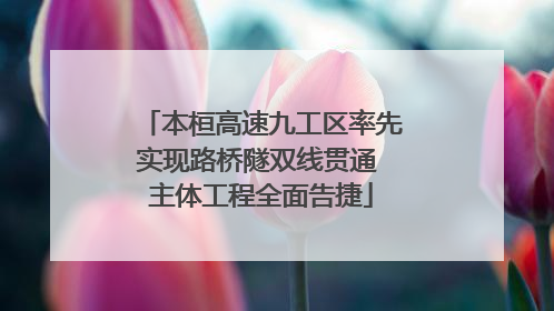 本桓高速九工区率先实现路桥隧双线贯通 主体工程全面告捷