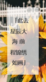 此去星辰大海 前程锦绣如画