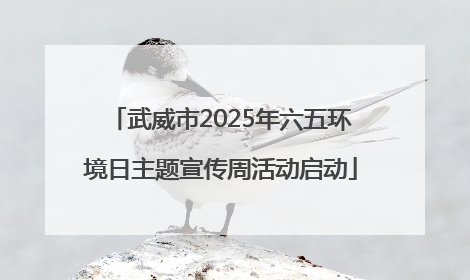 武威市2025年六五环境日主题宣传周活动启动