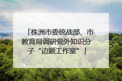 株洲市委统战部、市教育局调研党外知识分子“边颖工作室”