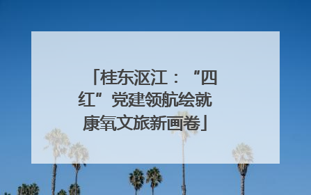 桂东沤江：“四红”党建领航绘就康氧文旅新画卷