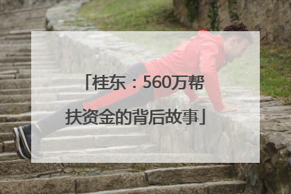 桂东：560万帮扶资金的背后故事