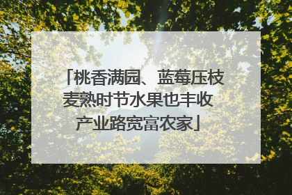 桃香满园、蓝莓压枝 麦熟时节水果也丰收 产业路宽富农家