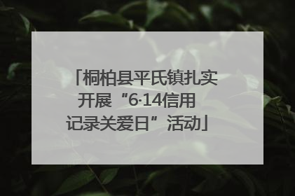桐柏县平氏镇扎实开展“6·14信用记录关爱日”活动