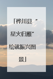 桦川县“星火归雁”绘就振兴图景