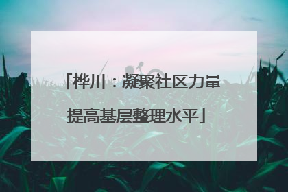桦川：凝聚社区力量 提高基层整理水平