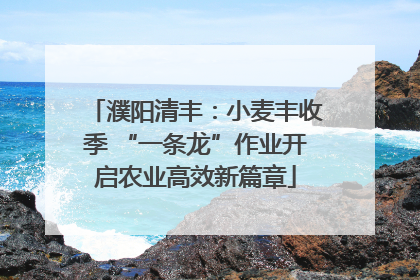 濮阳清丰：小麦丰收季 “一条龙”作业开启农业高效新篇章