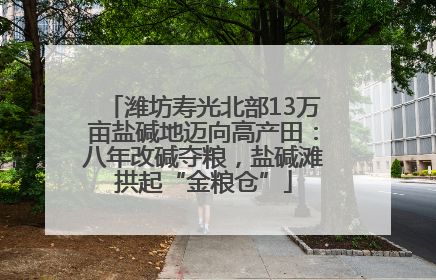 潍坊寿光北部13万亩盐碱地迈向高产田：八年改碱夺粮，盐碱滩拱起“金粮仓”