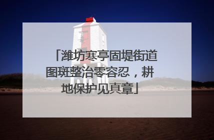 潍坊寒亭固堤街道图斑整治零容忍，耕地保护见真章