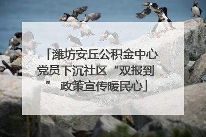 潍坊安丘公积金中心党员下沉社区“双报到” 政策宣传暖民心