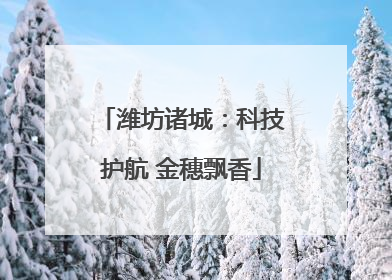 潍坊诸城：科技护航 金穗飘香
