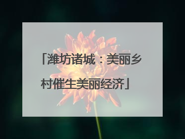 潍坊诸城：美丽乡村催生美丽经济