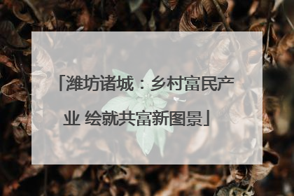 潍坊诸城：乡村富民产业 绘就共富新图景