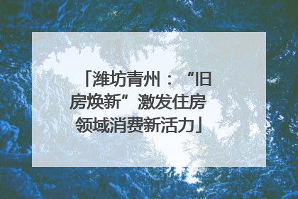 潍坊青州：“旧房焕新”激发住房领域消费新活力
