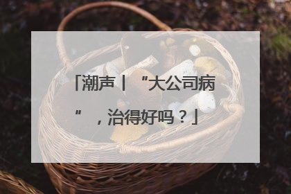 潮声丨“大公司病”，治得好吗？