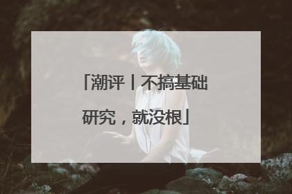 潮评丨不搞基础研究，就没根