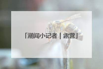 潮闻小记者｜露营