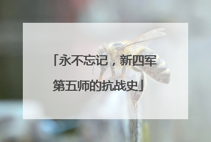 永不忘记，新四军第五师的抗战史