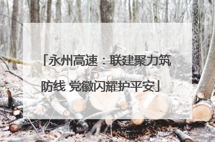 永州高速：联建聚力筑防线 党徽闪耀护平安