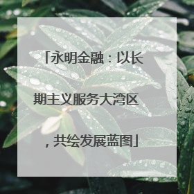 永明金融：以长期主义服务大湾区，共绘发展蓝图
