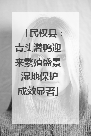 民权县：青头潜鸭迎来繁殖盛景 湿地保护成效显著