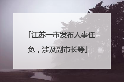 江苏一市发布人事任免，涉及副市长等
