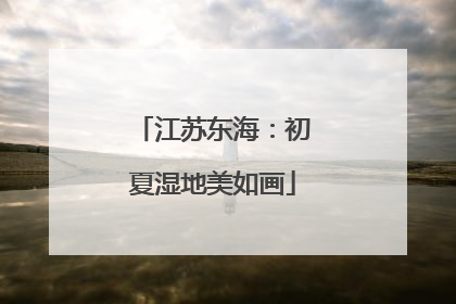 江苏东海：初夏湿地美如画