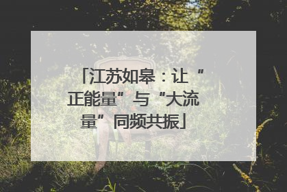 江苏如皋：让“正能量”与“大流量”同频共振