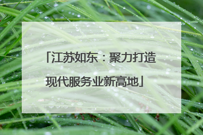 江苏如东：聚力打造现代服务业新高地