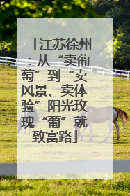江苏徐州：从“卖葡萄”到“卖风景、卖体验”阳光玫瑰“葡”就致富路