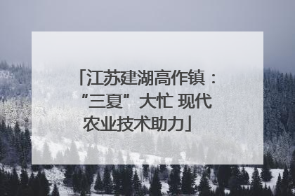 江苏建湖高作镇：“三夏”大忙 现代农业技术助力