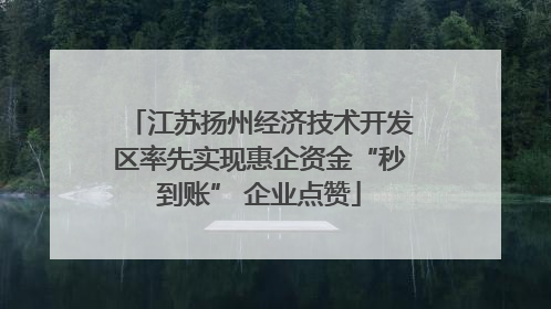 江苏扬州经济技术开发区率先实现惠企资金“秒到账” 企业点赞