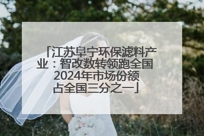 江苏阜宁环保滤料产业：智改数转领跑全国 2024年市场份额占全国三分之一