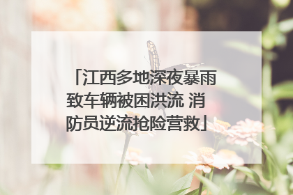江西多地深夜暴雨致车辆被困洪流 消防员逆流抢险营救