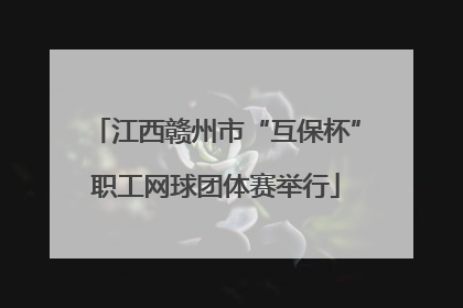 江西赣州市“互保杯”职工网球团体赛举行