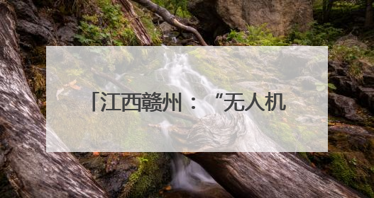 江西赣州：“无人机+高铁”助力赣南农特产“飞”出大山