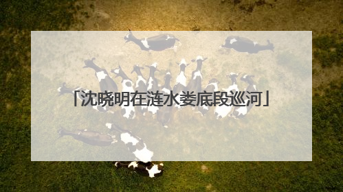 沈晓明在涟水娄底段巡河