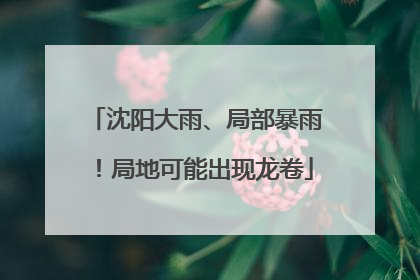 沈阳大雨、局部暴雨！局地可能出现龙卷