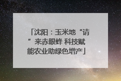 沈阳：玉米地“请”来赤眼蜂 科技赋能农业助绿色增产