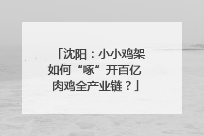 沈阳：小小鸡架如何“啄”开百亿肉鸡全产业链？