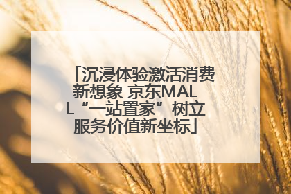 沉浸体验激活消费新想象 京东MALL“一站置家”树立服务价值新坐标