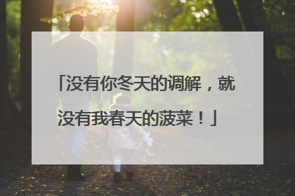没有你冬天的调解，就没有我春天的菠菜！