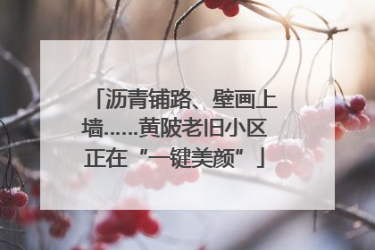 沥青铺路、壁画上墙……黄陂老旧小区正在“一键美颜”