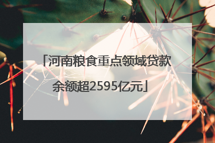 河南粮食重点领域贷款余额超2595亿元