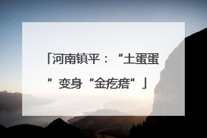 河南镇平：“土蛋蛋”变身“金疙瘩”
