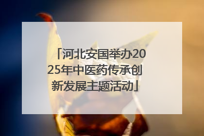 河北安国举办2025年中医药传承创新发展主题活动